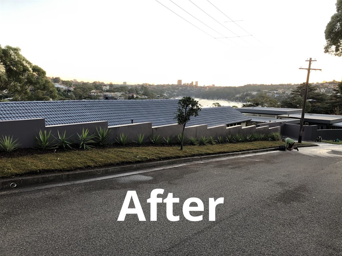 Garden clean up after photo on Sydney North Shore